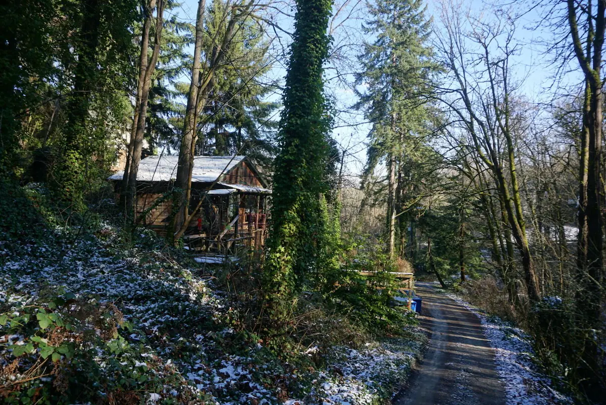 Treehouse rentals in Washington