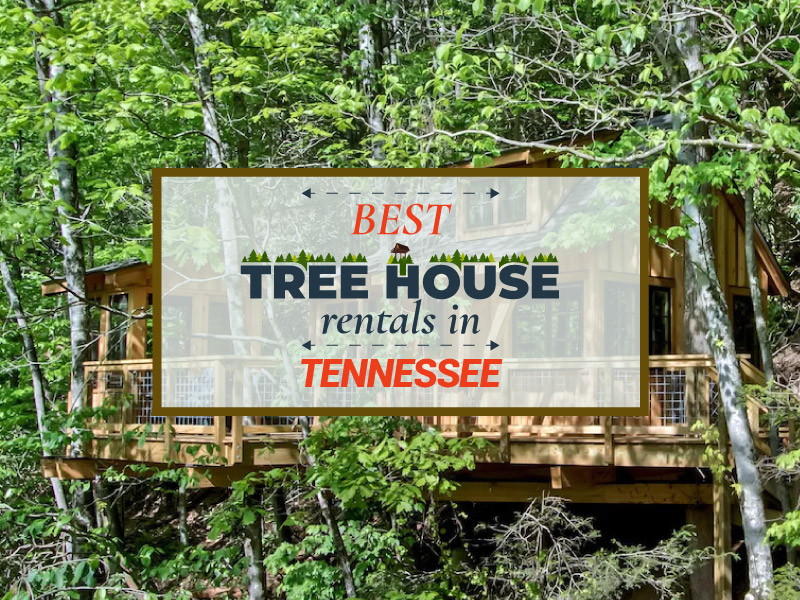 Treehouse cabin in Tennessee