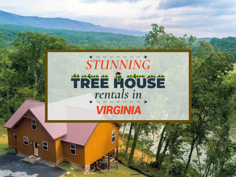 Treehouse rental in Virginia