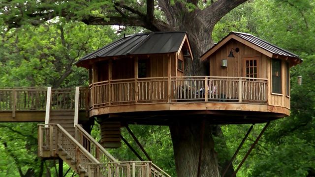 Treehouse in Texas