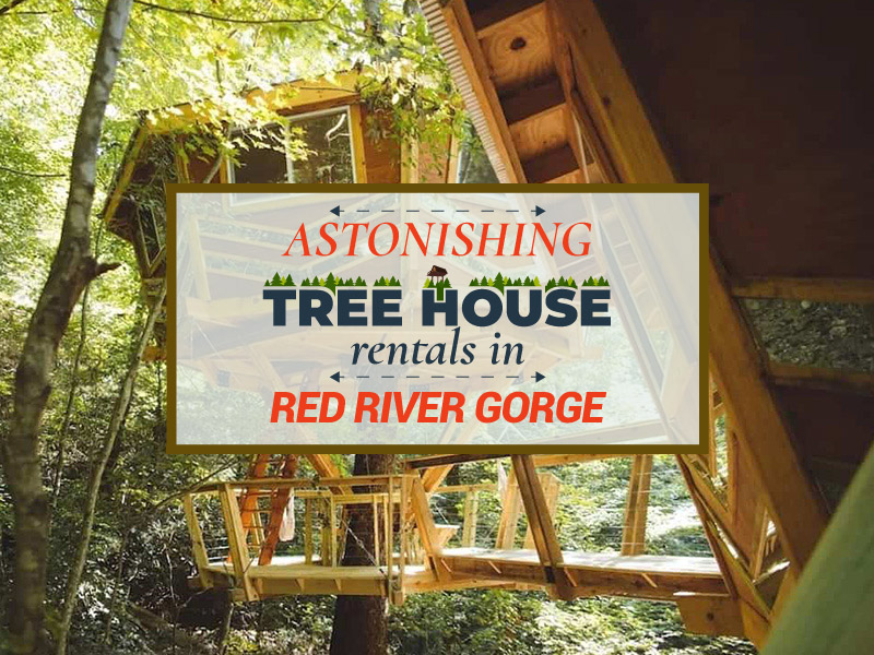 5 Astonishing Treehouse Rentals in Red River Gorge 2 Astonishing Treehouse Rentals in Red River Gorge