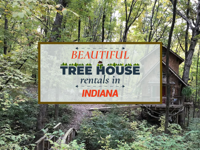 6 Beautiful Treehouse Rentals in Indiana 7 Treehouse Rentals in Indiana