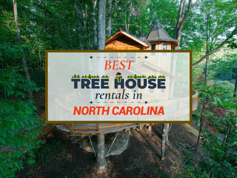 5 Best treehouse rentals in North Carolina 2 Gorgeous Treehouse rental North Carolina