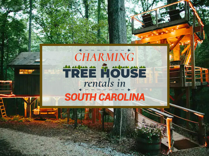 Charming Treehouse Rentals in South Carolina