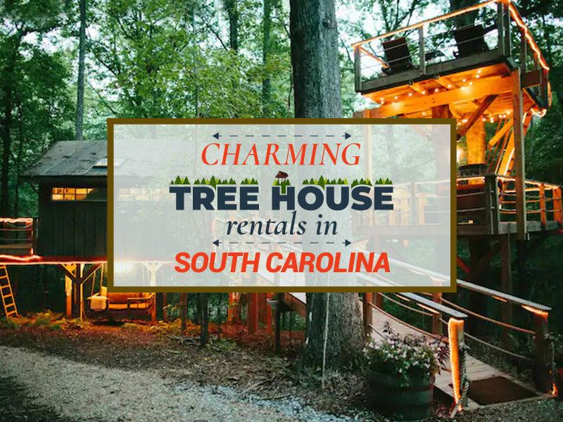 5 Charming Treehouse Rentals in South Carolina 2 Charming Treehouse Rentals in South Carolina