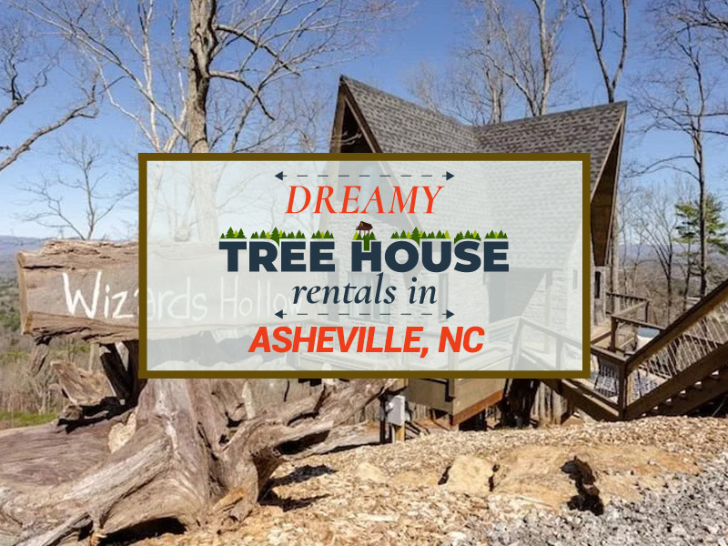 Wizzard Hollow Treehouse of Serenity Asheville
