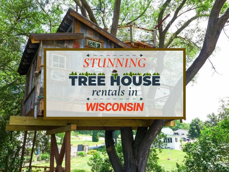 Stunning Treehouse Rentals in Wisconsin