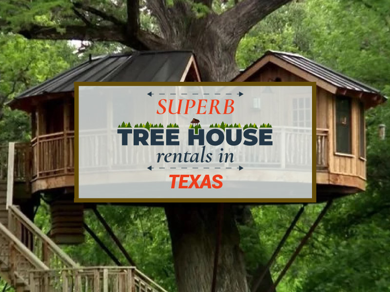 Treehouse in Texas