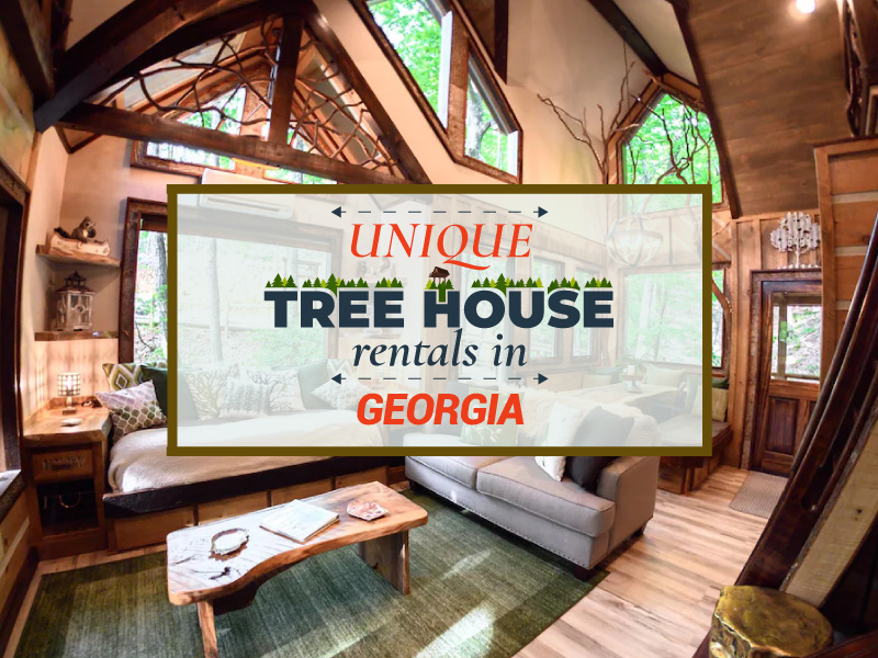 Treehouse rental in Georgia